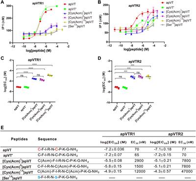 Characterization of an Aplysia vasotocin signaling system and actions of posttranslational modifications and individual residues of the ligand on receptor activity